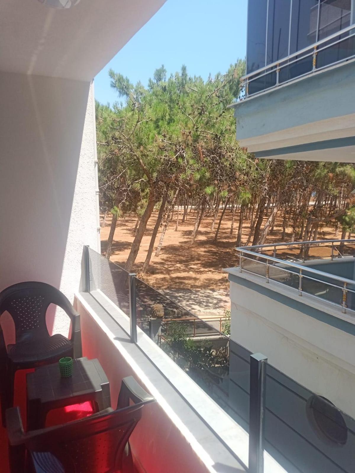 Didim Palace Hotel エクステリア 写真